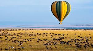 game viewing